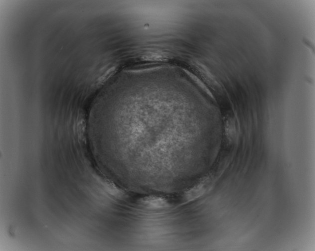 X0000097480322200803071722