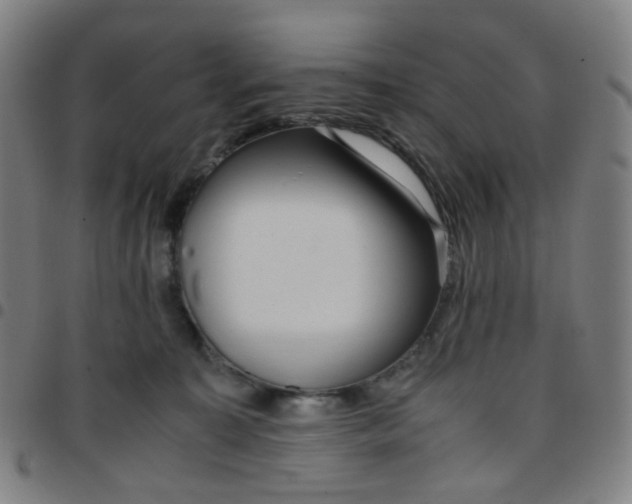 X0000097480323200803071722