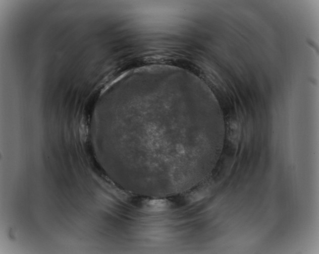 X0000097480324200803071722