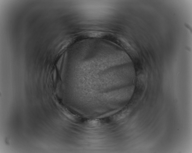 X0000097480325200803071722