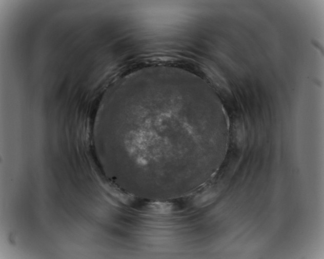 X0000097480328200803071722