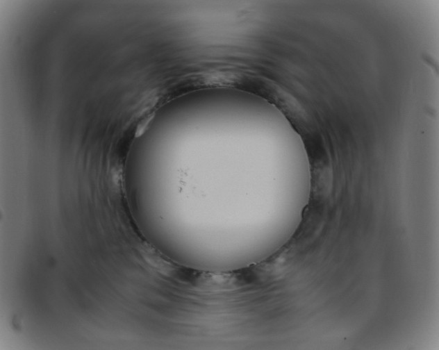 X0000097480329200803071722