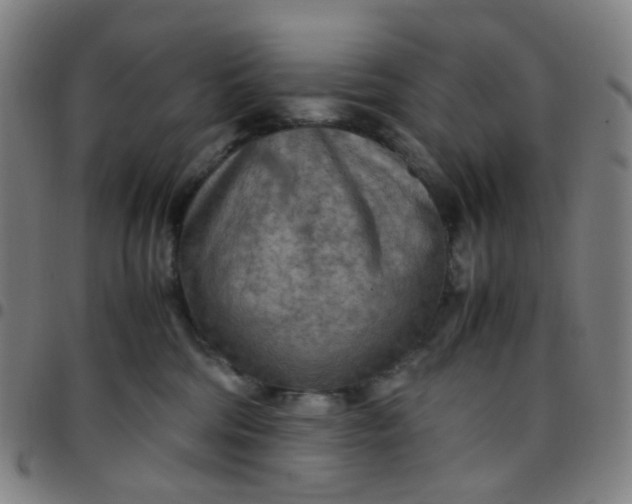 X0000097480330200803071722