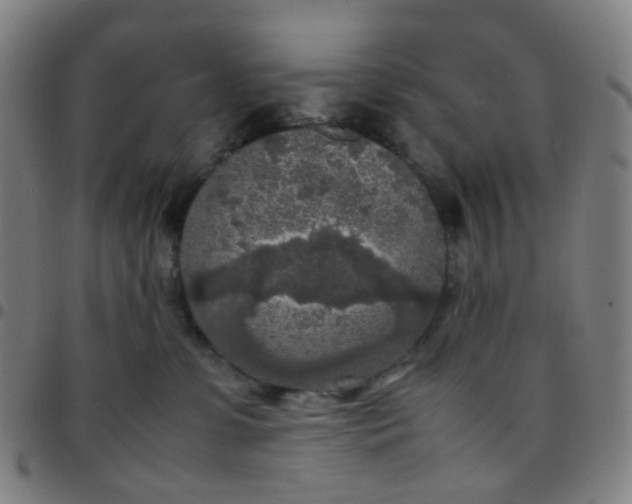 X0000097480331200803071722