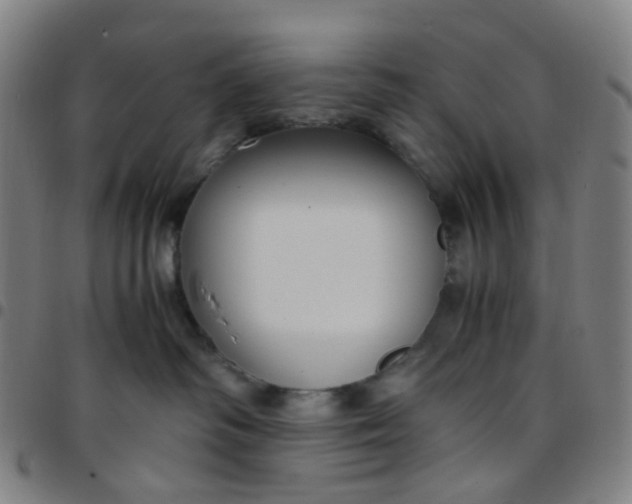 X0000097480334200803071722