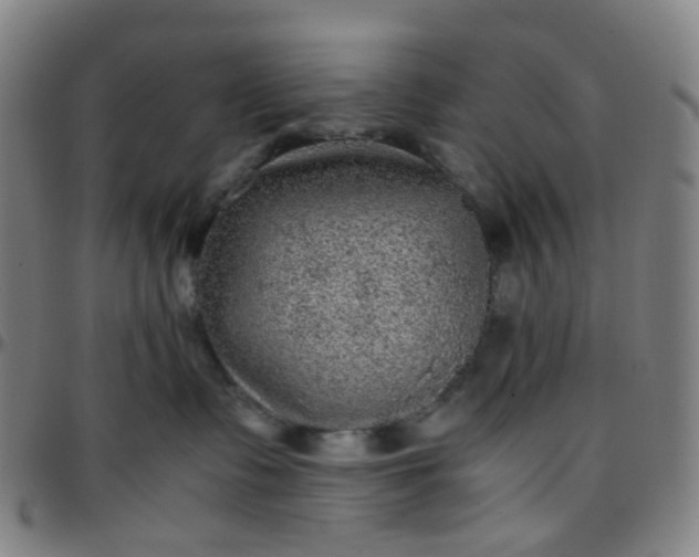 X0000097480335200803071722