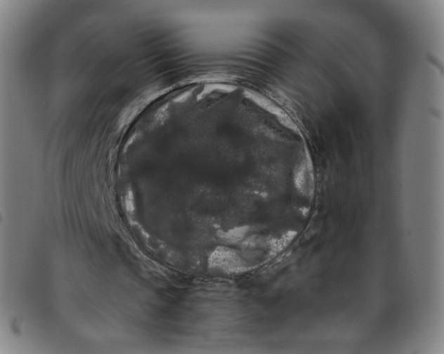 X0000097480337200803071721