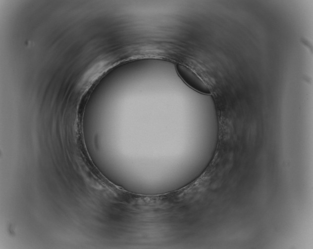 X0000097480338200803071721