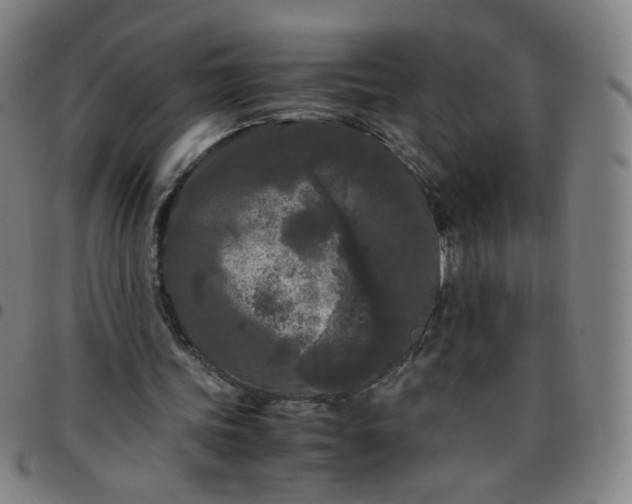 X0000097480339200803071721