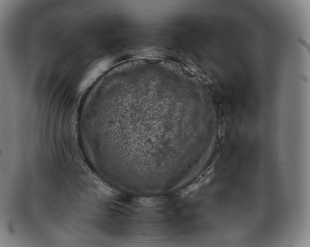 X0000097480341200803071721