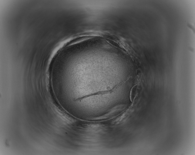 X0000097480342200803071721