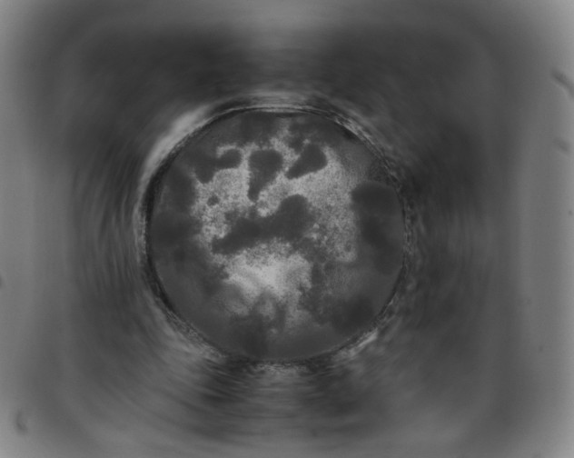 X0000097480343200803071721