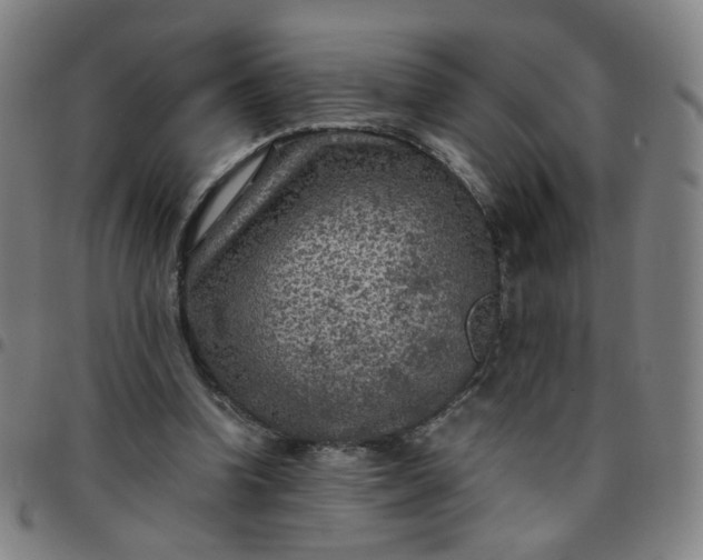 X0000097480346200803071721