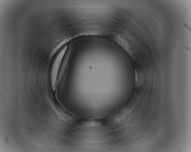 X0000097480348200803071721