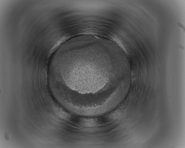 X0000097480349200803071721