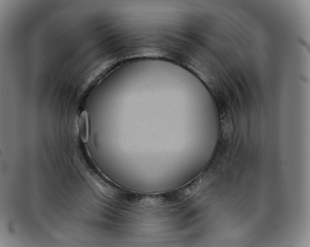 X0000097480350200803071721