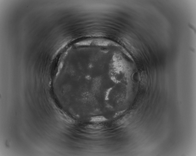 X0000097480351200803071721