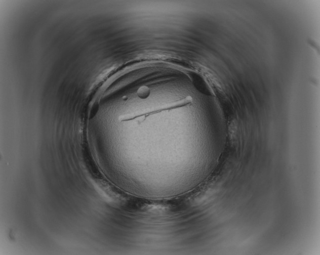 X0000097480352200803071721