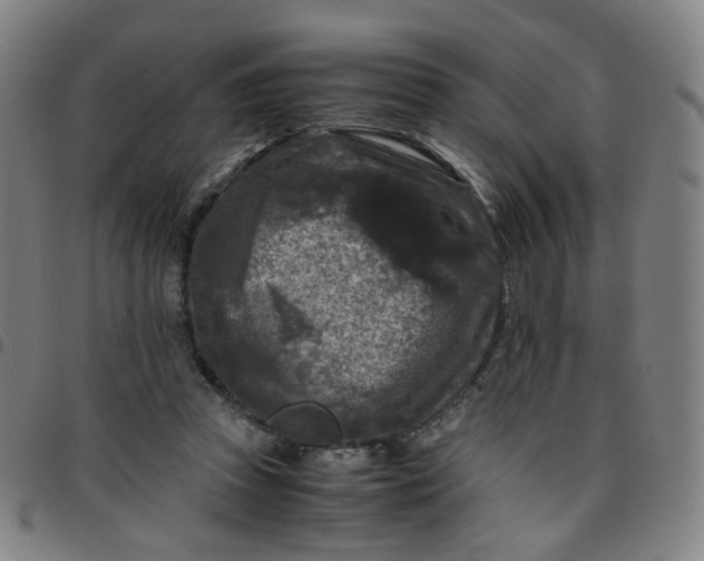 X0000097480353200803071721