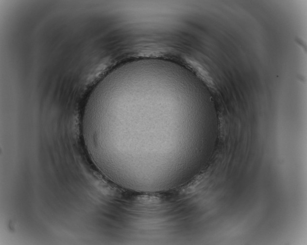 X0000097480354200803071721