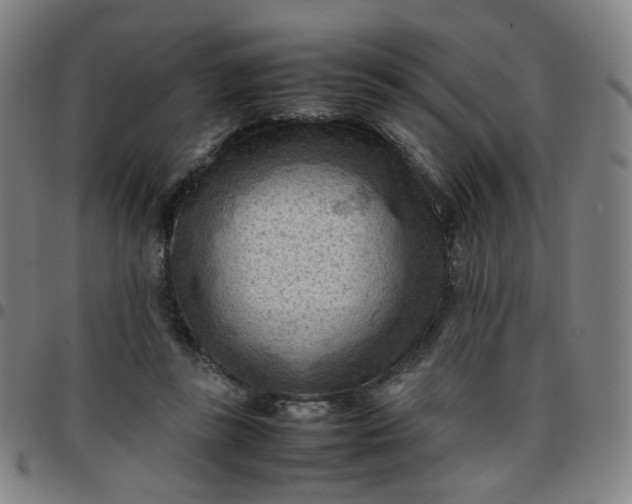 X0000097480355200803071721