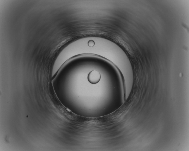 X0000097480356200803071721