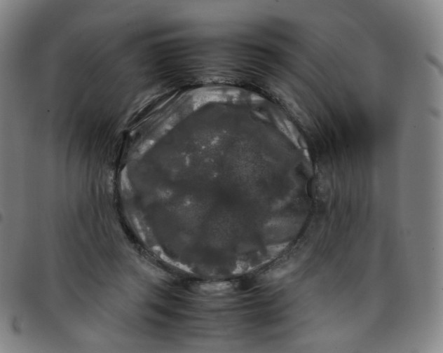 X0000097480357200803071722