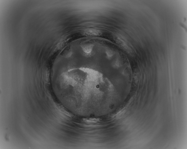 X0000097480359200803071722