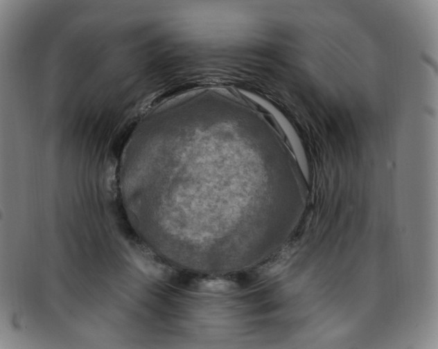 X0000097480360200803071722