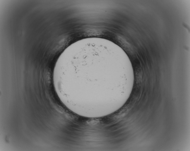 X0000097480362200803071722