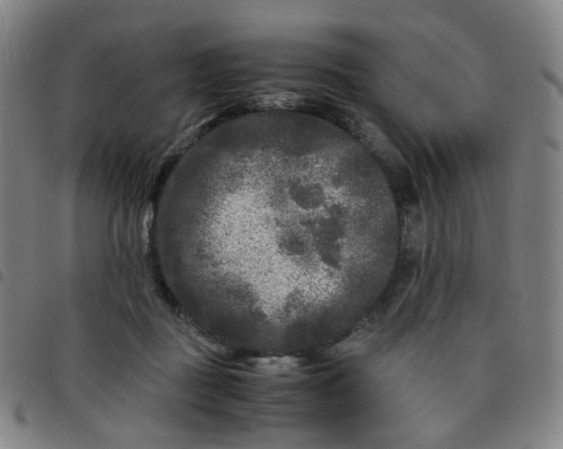 X0000097480363200803071722