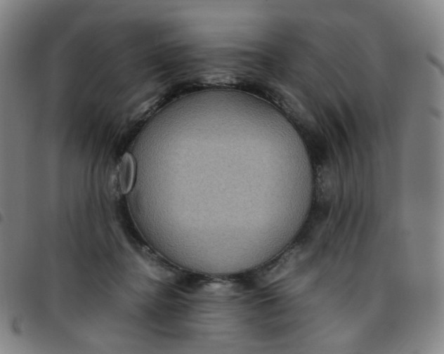 X0000097480364200803071722