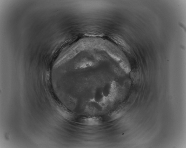 X0000097480365200803071722