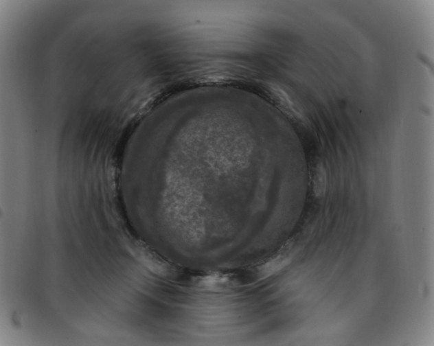 X0000097480366200803071722