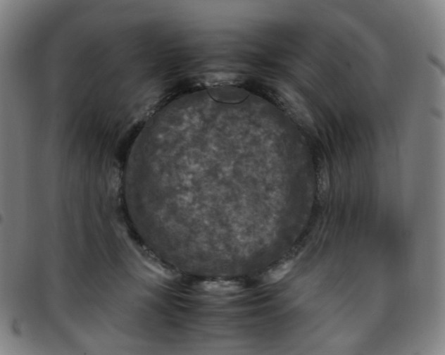 X0000097480367200803071722