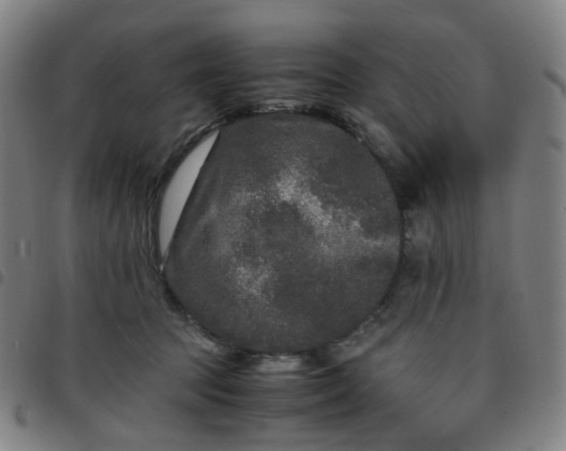 X0000097480369200803071722