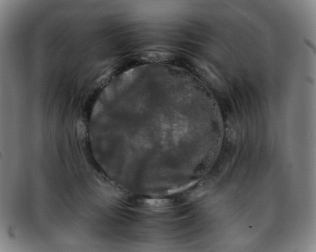 X0000097480371200803071722