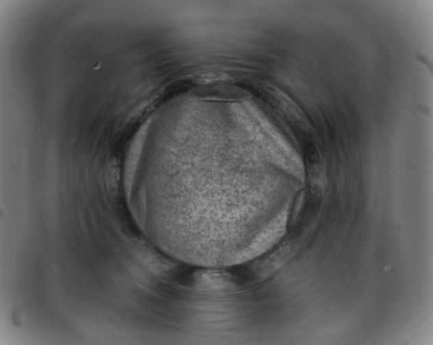 X0000097480372200803071722