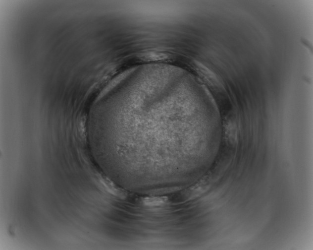 X0000097480373200803071722