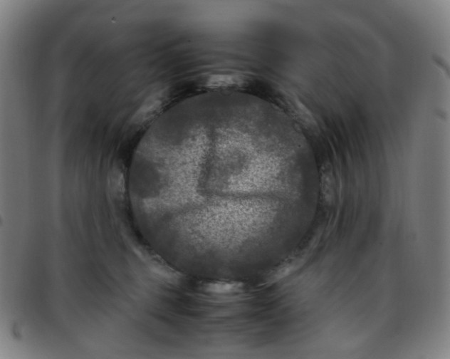 X0000097480375200803071722