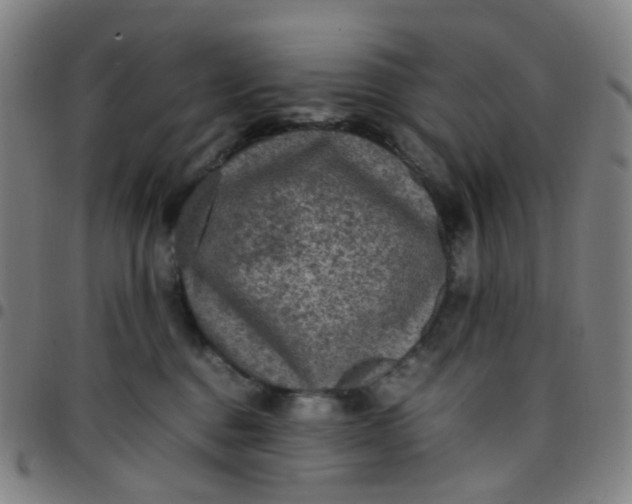 X0000097480376200803071722