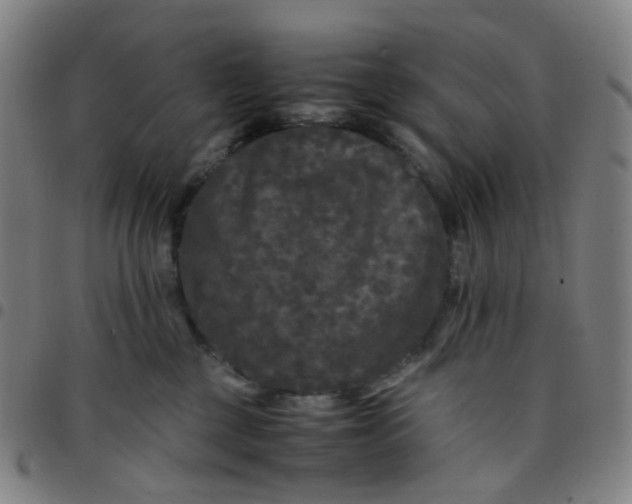 X0000097480377200803071722