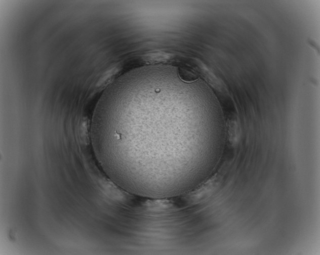 X0000097480378200803071722