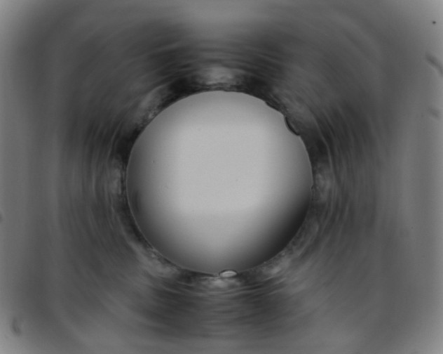 X0000097480379200803071722