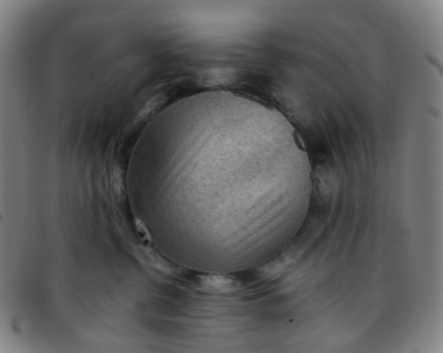 X0000097480380200803071722