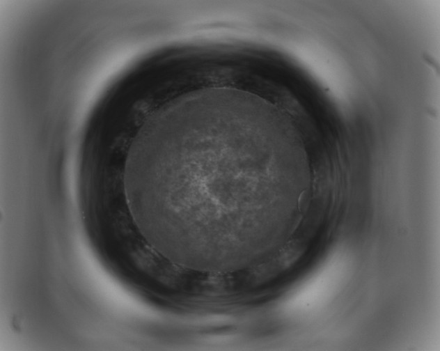 X0000097480383200803071722