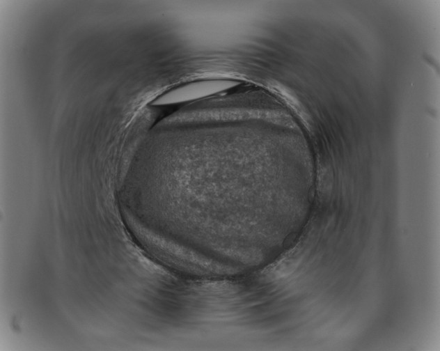 X0000097480385200803071721