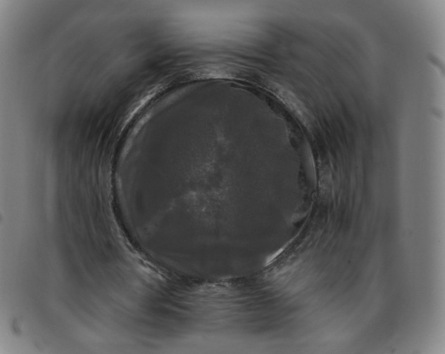 X0000097480386200803071721