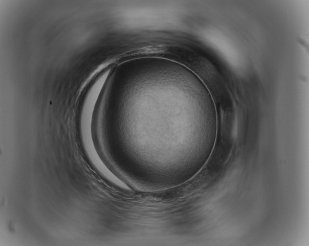 X0000097480387200803071721