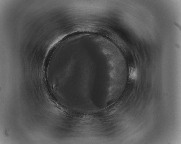 X0000097480388200803071721